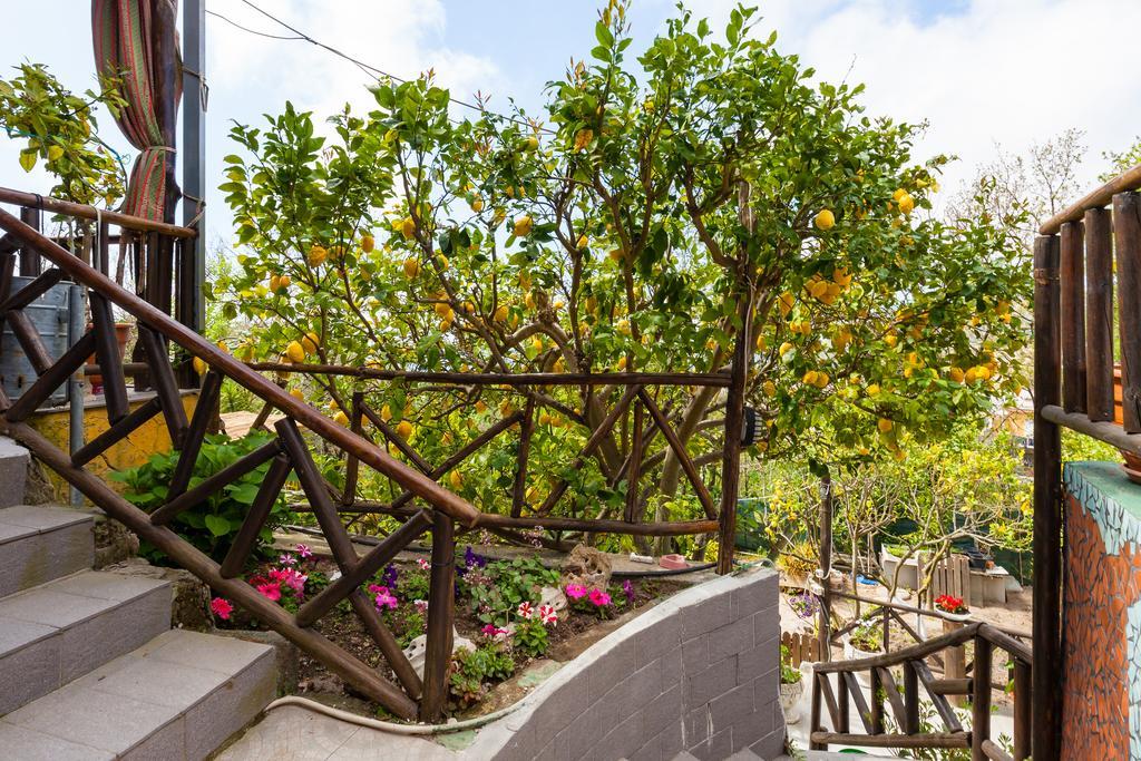 Nitrodi Experience Guest House Barano d'Ischia Exterior photo